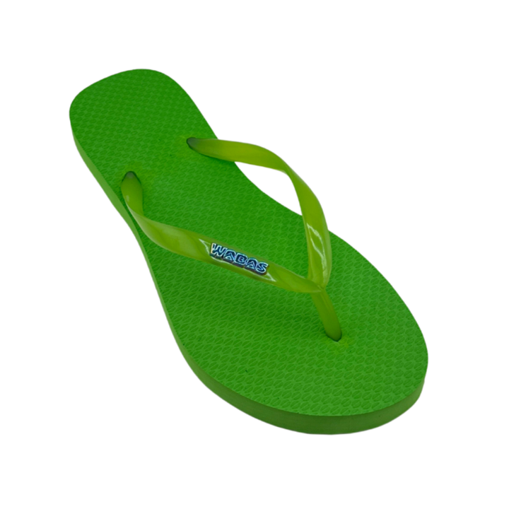 Kiwi | Slim Translucido verde | Rainbow