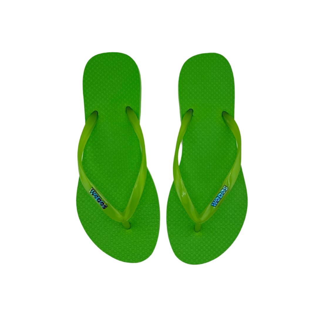 Kiwi | Slim Translucido verde | Rainbow