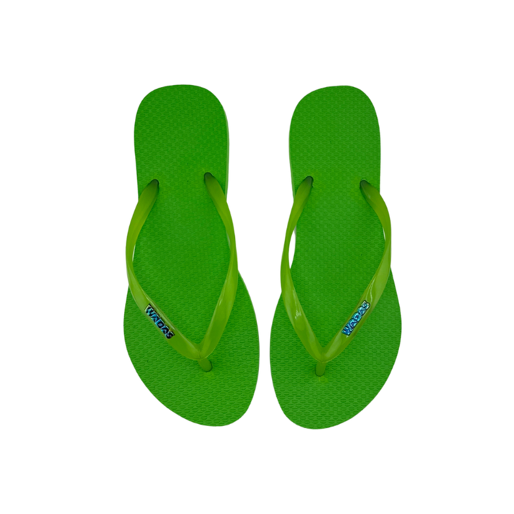 Kiwi | Slim Translucido verde | Rainbow