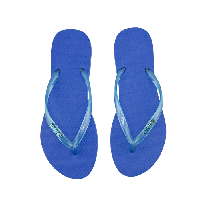 Royal | Slim Translucido azul | Rainbow