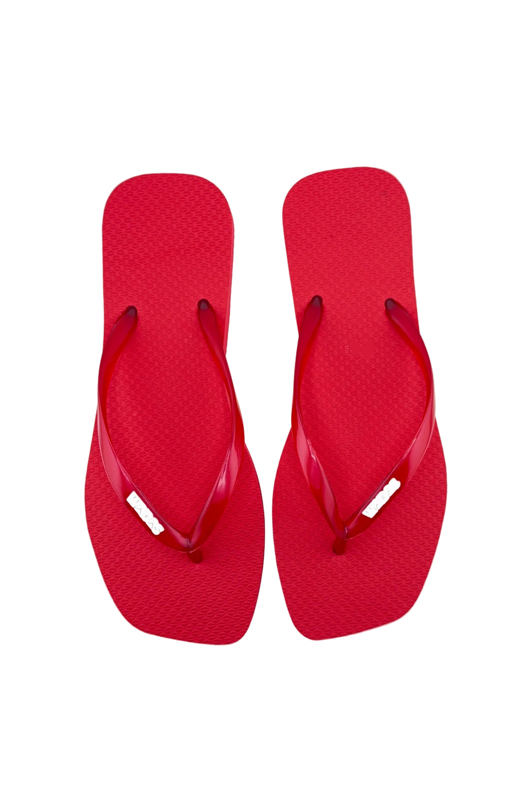 Flamboyan | Translucido Rojo | Bright white