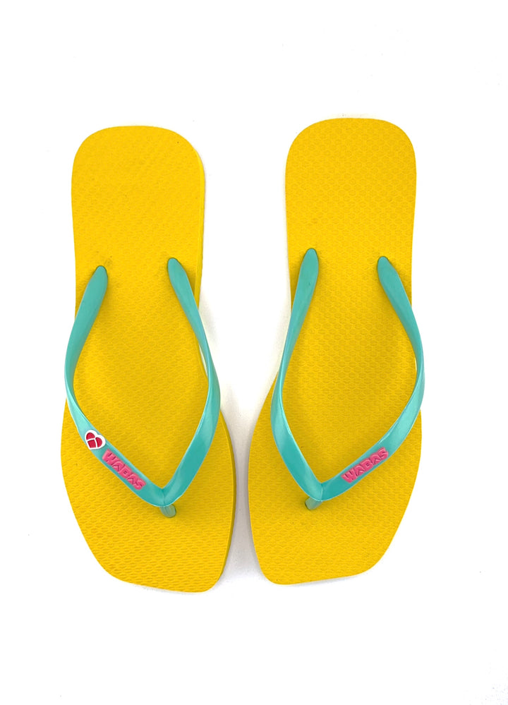 Slim Square Girasol | Slim Menta | Camelia Rose | Corazon