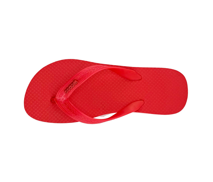 Regular Flamboyan | Regular Flamboyan | Fiery Red